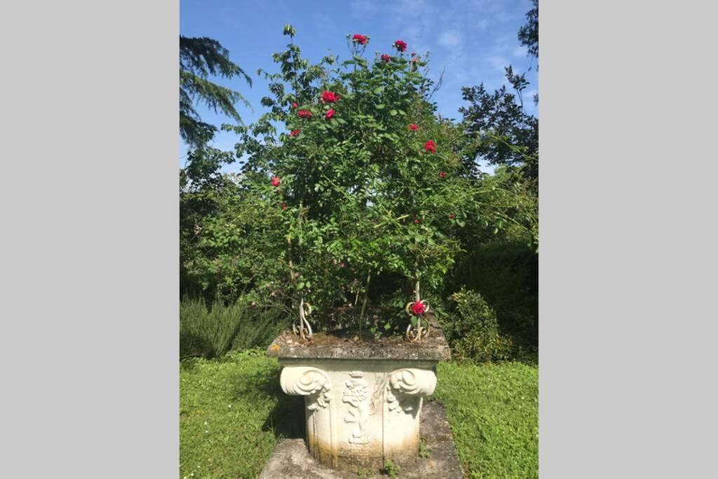 Casa La Torre Un Castello Alle Porte Di Firenze المظهر الخارجي الصورة